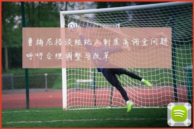鲁梅尼格谈经纪人制度高佣金问题呼吁合理调整与改革