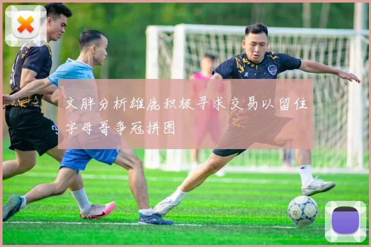 文胖分析雄鹿积极寻求交易以留住字母哥争冠拼图